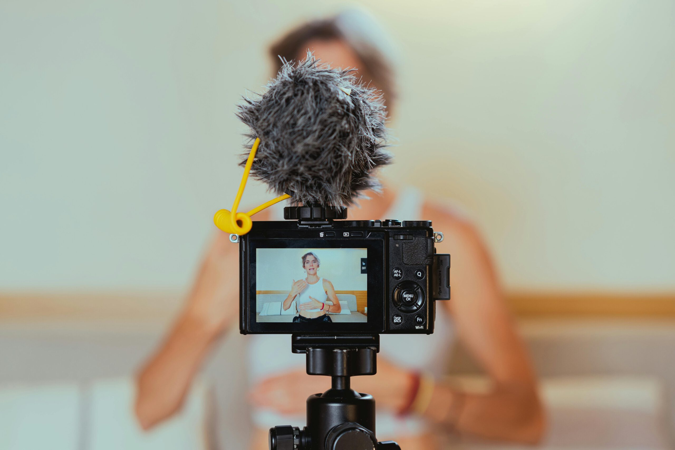 influencer marketing scriptie
